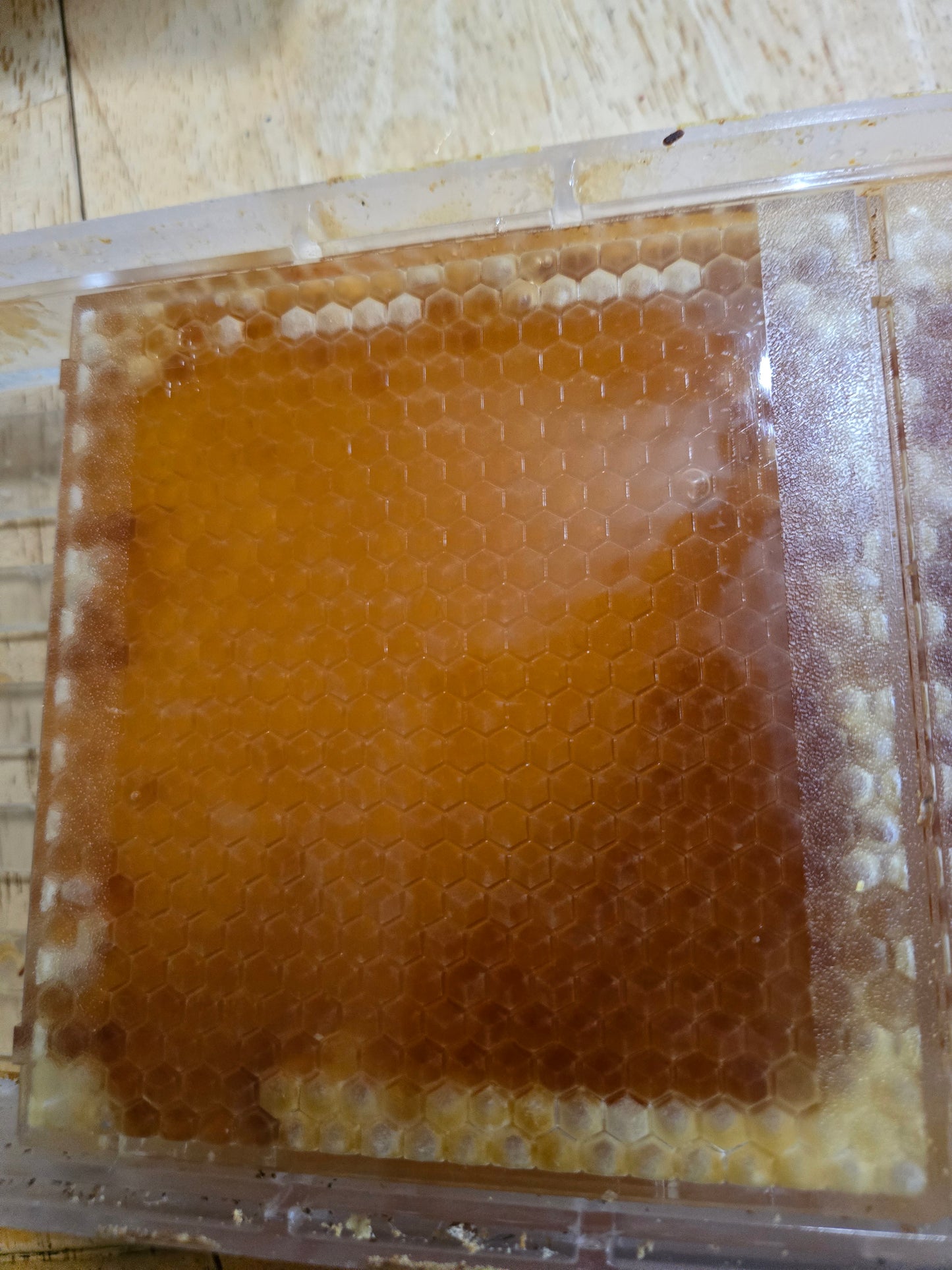 Comb Honey