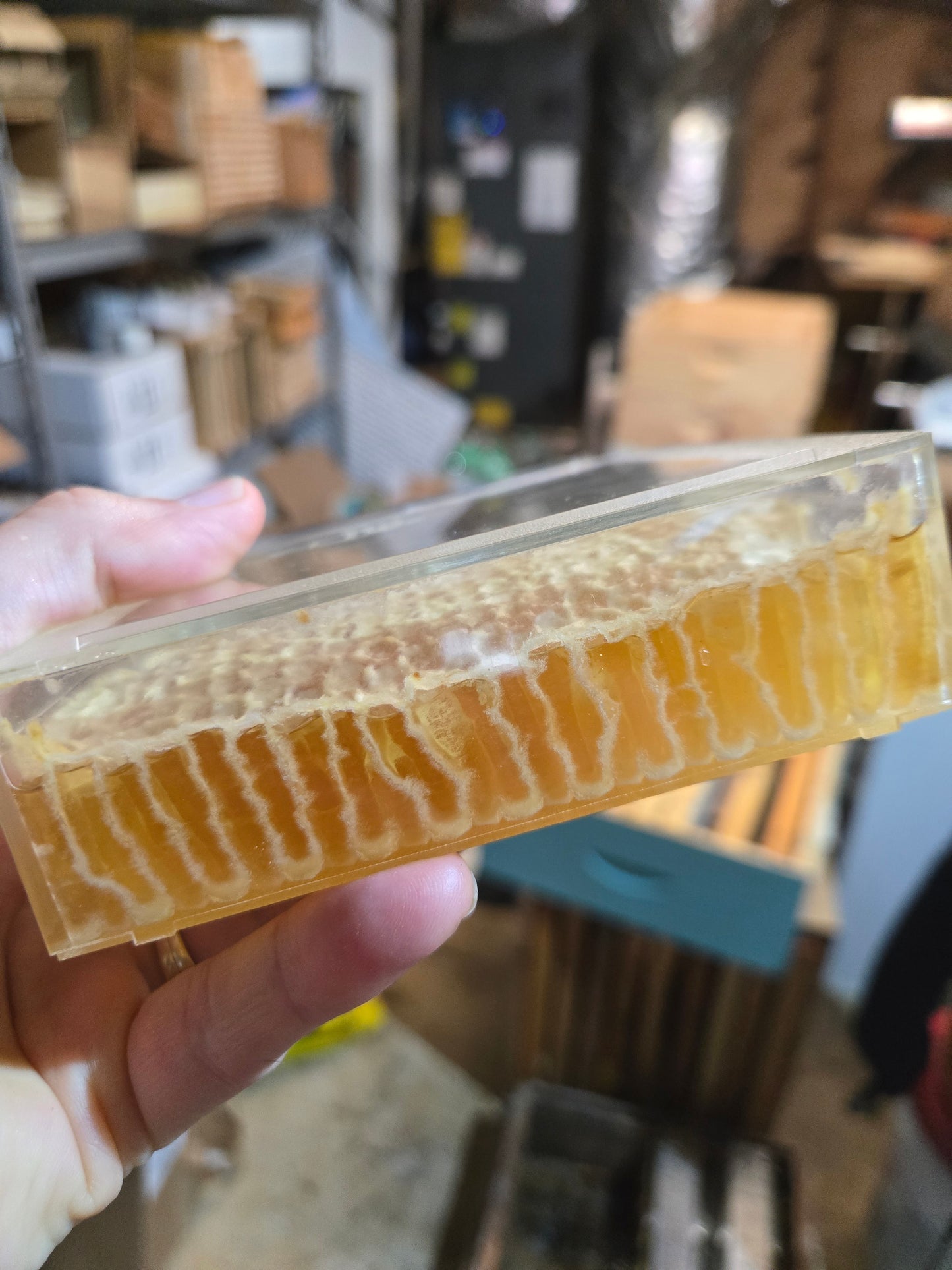 Comb Honey